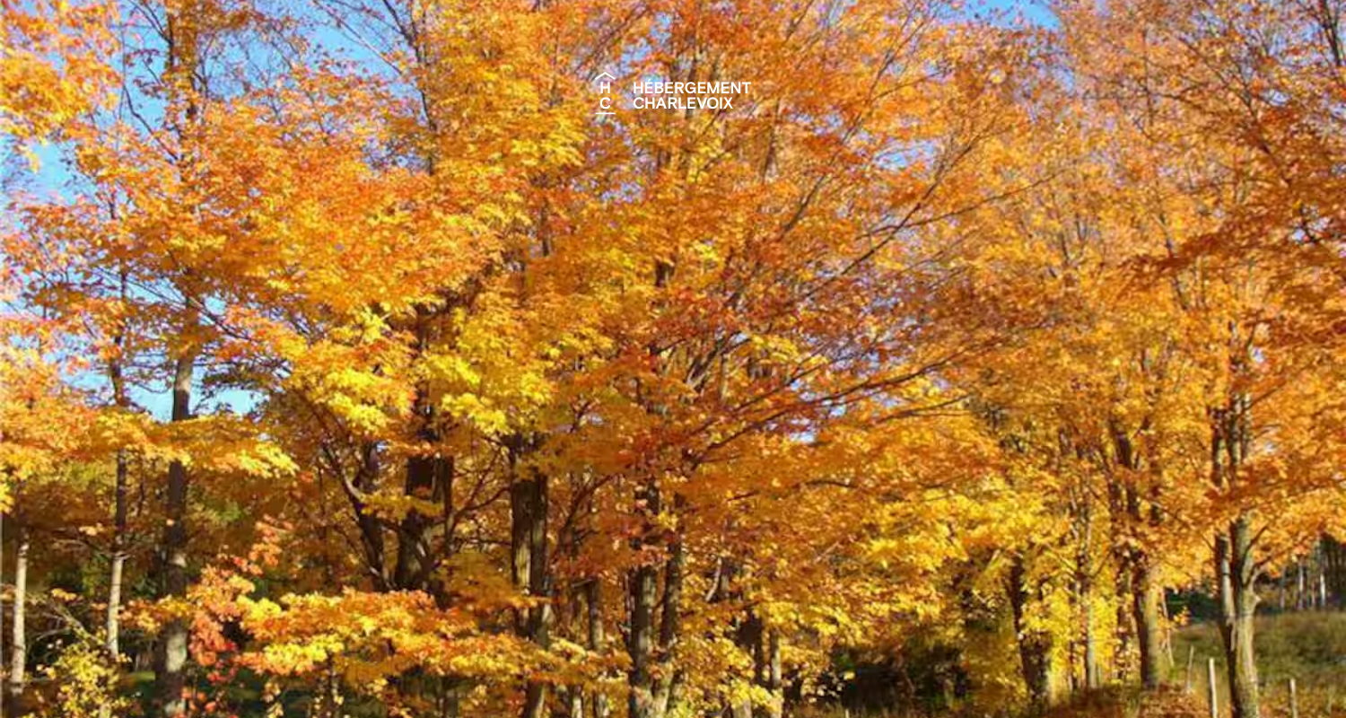 BRI-242 - Un cadre naturel d'exception avec vue sur le fleuve!!